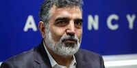 کمالوندی: امکان غنی سازی اورانیوم تا ۴۰ و ۶۰ درصد وجود دارد