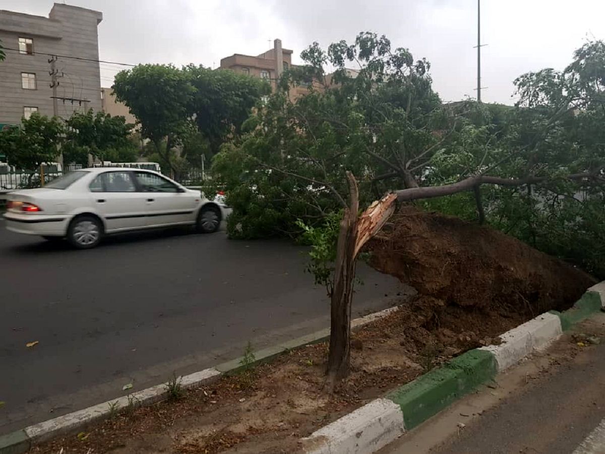 طوفان تهران چند بار تلفن آتش نشانی را به صدا درآورد؟