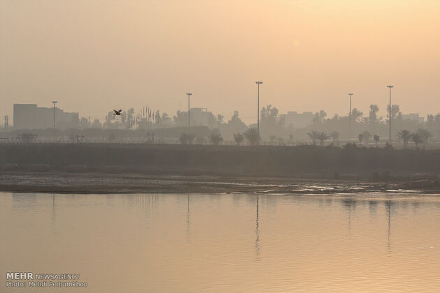 2839841_IMG_4354