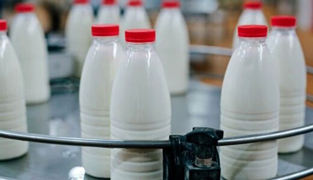 موافقت مجلس با گران شدن شیر