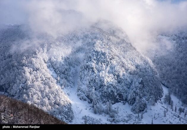 image10