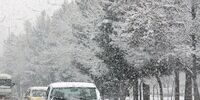 بارش برف و باران در این ۱۱ استان کشور 