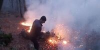 حریق گسترده در ارتفاعات درفک رودبار/ آماده‌باش کامل نیروهای امدادی