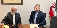 نشست وزیرخارجه کشورمان با اعضای دفتر حفاظت منافع ایران در واشنگتن