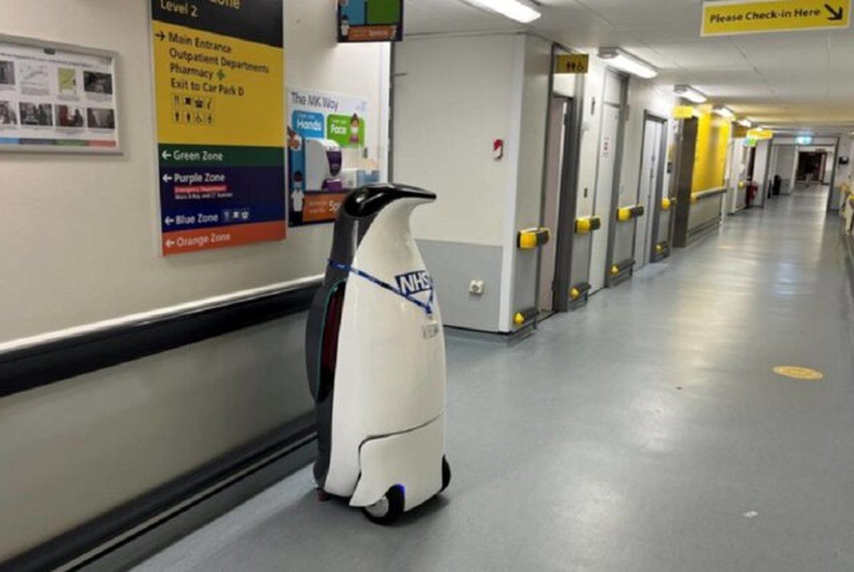 این پنگوئن رباتیک کارمند آزمایشی بیمارستان شد!