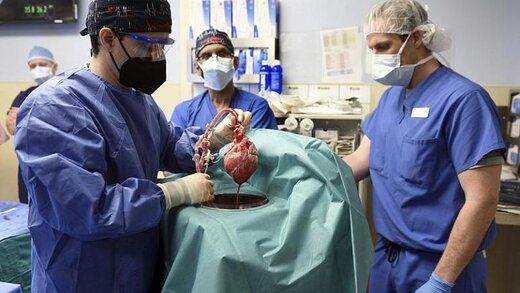 مرگ بیمار ی که قلب خوک را به او پیوند زده بودند+عکس