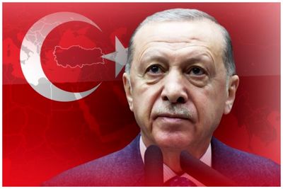 اردوغان به تل‌آویو تاخت / اسرائیل نباید بتواند وحشی‌گری‌هایش را مخفی کند 2