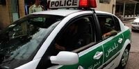 قتل وحشتناک یک زن در خیابان ونک/ دفن سر جدا شده قربانی در باغچه 