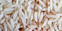 قیمت برنج ایران ارزان شد