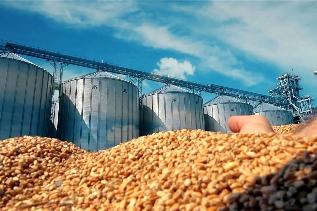 شوک‌های اقتصادی جنگ ایران به روایت بلومبرگ | قیمت گندم در مسیر ثبت بزرگترین افزایش هفتگی | فلزات صنعتی در بورس لندن به بالاترین حد تاریخی جهش کردند