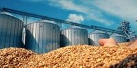 شوک‌های اقتصادی جنگ ایران به روایت بلومبرگ | قیمت گندم در مسیر ثبت بزرگترین افزایش هفتگی | فلزات صنعتی در بورس لندن به بالاترین حد تاریخی جهش کردند