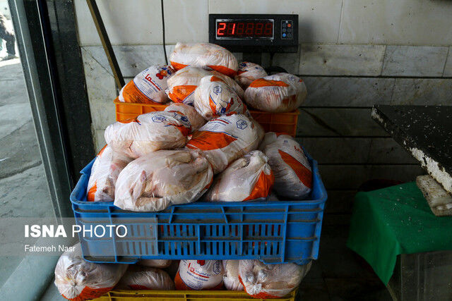 قیمت مرغ افزایش یافت