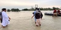 خبر خوش برای کشاورزان سیل‌زده سیستان/اعزام فوری علوفه‌های دامی