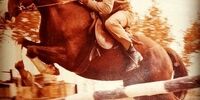 مهدی فخیم زاده درحال پرش با اسب /عکس 