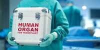 یک اتفاق بزرگ در پیوند عضو؛ انتقال هوایی قلب برای پیوند