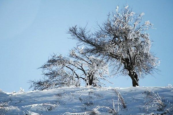 هشدار هواشناسی: یخبندان این استان در روزهای آینده