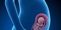 جولان دلالان فضای مجازی در بازار داغ «رحم اجاره»