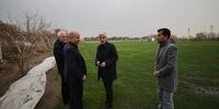 تماشاگران ویژه دربی 103 در ورزشگاه آزادی