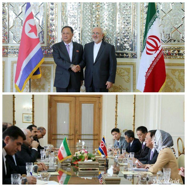 وزیر خارجه کره شمالی با ظریف دیدار کرد