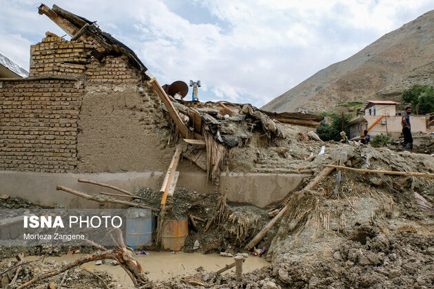 62334962_morteza-zangeneh-23