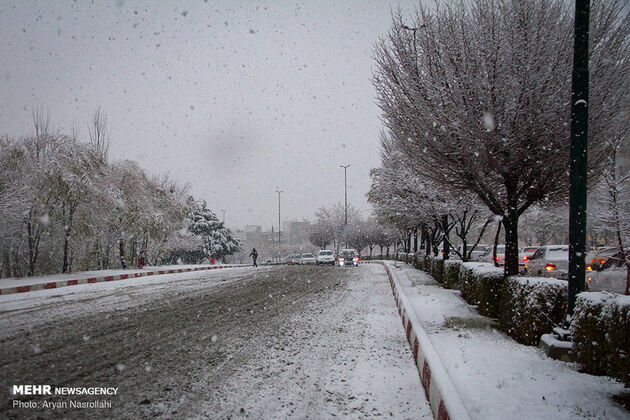 2987732_000IMG_9748