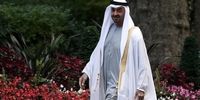 مقصد اولین سفر خارجی رئیس جدید امارات مشخص شد