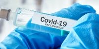 خبرهای خوب از واکسن  ویروس کرونا