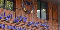 فعالیت بورس کالا متوقف شد؟
