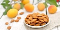 خواص بی نظیر هسته زردآلو