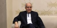 قطع همکاری ایران با آژانس منطقی بود