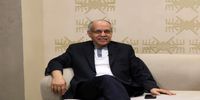 قطع همکاری ایران با آژانس منطقی بود