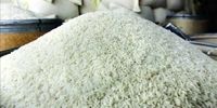 علت گران شدن برنج چه بود؟ / قیمت روغن در هفته سوم بهمن