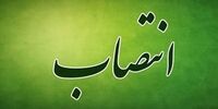 انتصاب سرپرست معاونت محیط زیست طبیعی و تنوع زیستی سازمان محیط‌زیست +بیوگرافی