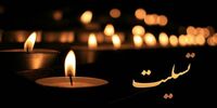 پرفسور مشهور ایرانی درگذشت
