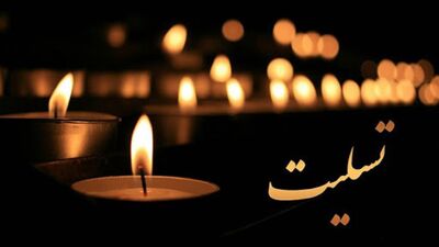 چهره ماندگار خانه‌ ریاضیات درگذشت
