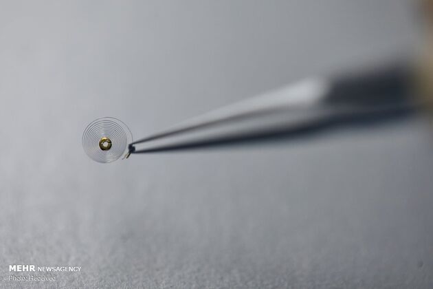 3055205_6tt6t78
