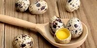 بعد از 40 سالگی از خوردن تخم این پرنده غافل نشوید!