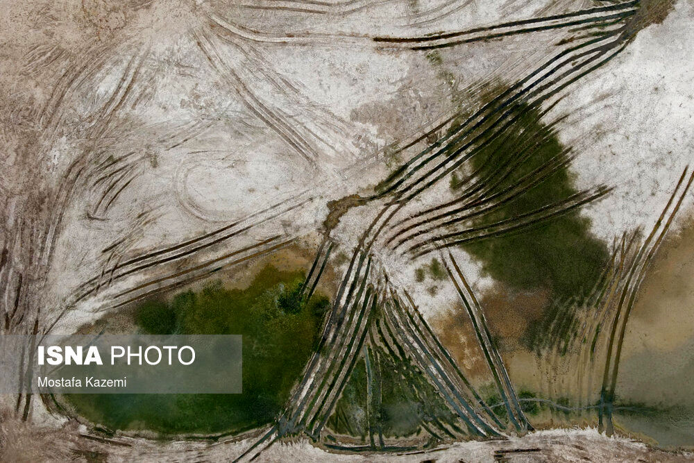 تصاویر| ​مازندران بر لبه تیغ خشکسالی!