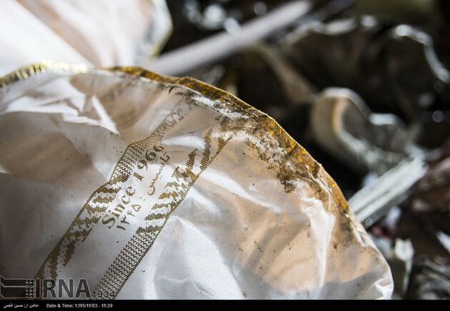 بازمانده از پلاسکو