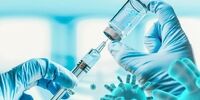 واکسن کرونای ایرانی چطور عمل می‌کند؟
