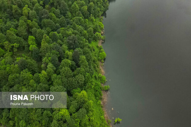 62279153_DJI_0455