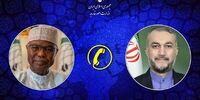  گفت وگوی تلفنی امیرعبداللهیان با  دبیرکل سازمان همکاری اسلامی