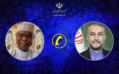  گفت وگوی تلفنی امیرعبداللهیان با دبیرکل سازمان همکاری اسلامی