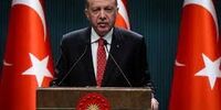 چراغ سبز مهم اردوغان به سوئد!