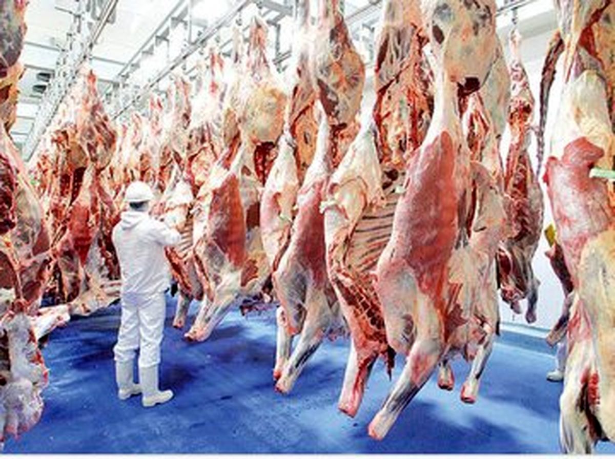 افزایش عجیب قیمت گوشت در یک سال؛ ۲۴۰ هزار تومان کجا و ۷۵۰ هزار تومان کجا!+ اینفوگرافیک