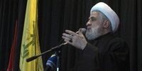 واکنش حزب‌الله به شهادت محسن فخری زاده: ایران به این جنایت پاسخ می‌دهد
