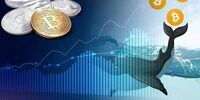 بزرگ ترین نهنگ های بیت کوین این افراد هستند