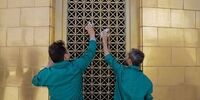 آغاز شست‌وشوی گنبد حرم رضوی در آستانه ولادت امام رئوف+عکس‌ها