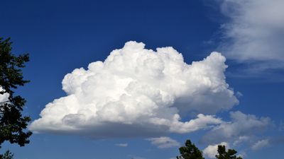 فرار ابرها از ایران جدی شد؟/ واکنش رییس سازمان هواشناسی
