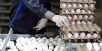 قیمت هر شانه تخم مرغ چند شد؟